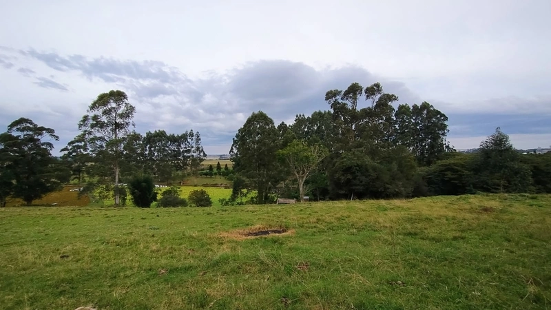 02ha com Estrutura para Eventos ou empresas.: 4ª foto da galeria de imagens do imóvel