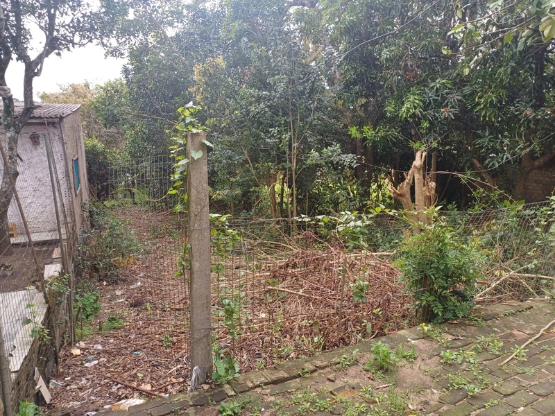 Casa 3 dormitórios para venda em Camaquã: 7ª foto da galeria de imagens do imóvel