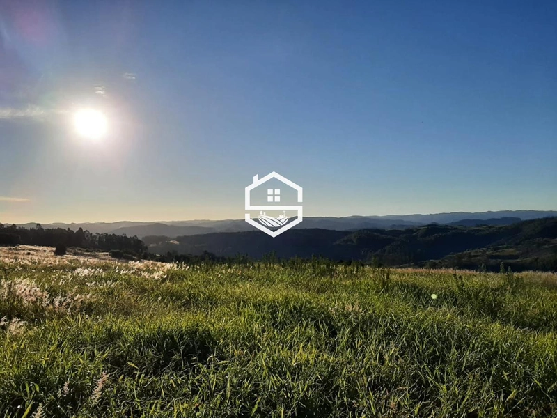 Área Rural para venda em Dom Feliciano: 2ª foto da galeria de imagens do imóvel