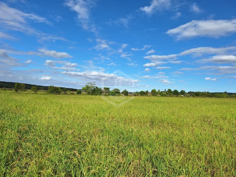 OPORTUNIDADE DE SÍTIO PARA SUA FAMÍLIA!: 8ª foto da galeria de imagens do imóvel