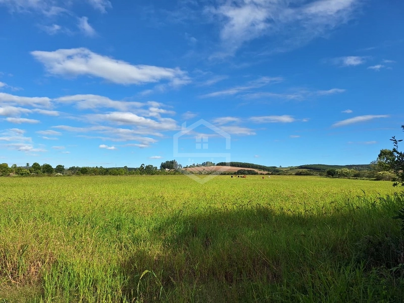 OPORTUNIDADE DE SÍTIO PARA SUA FAMÍLIA!: 9ª foto da galeria de imagens do imóvel