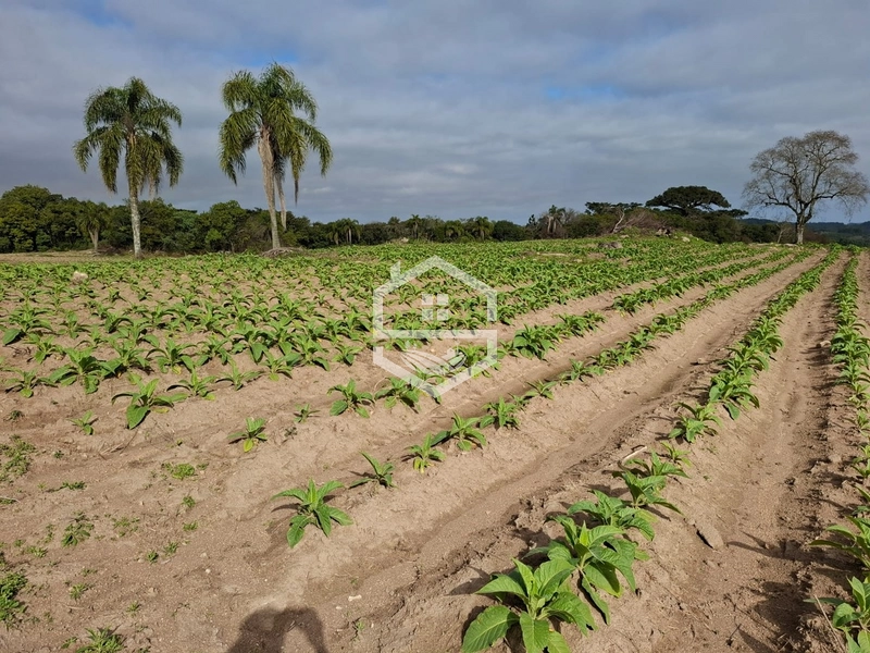 null: 2ª foto da galeria de imagens do imóvel