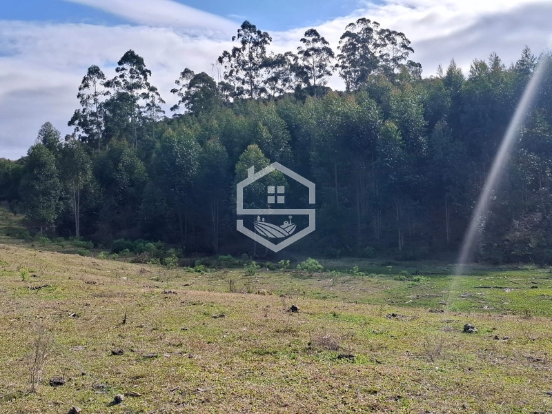 null: 4ª foto da galeria de imagens do imóvel