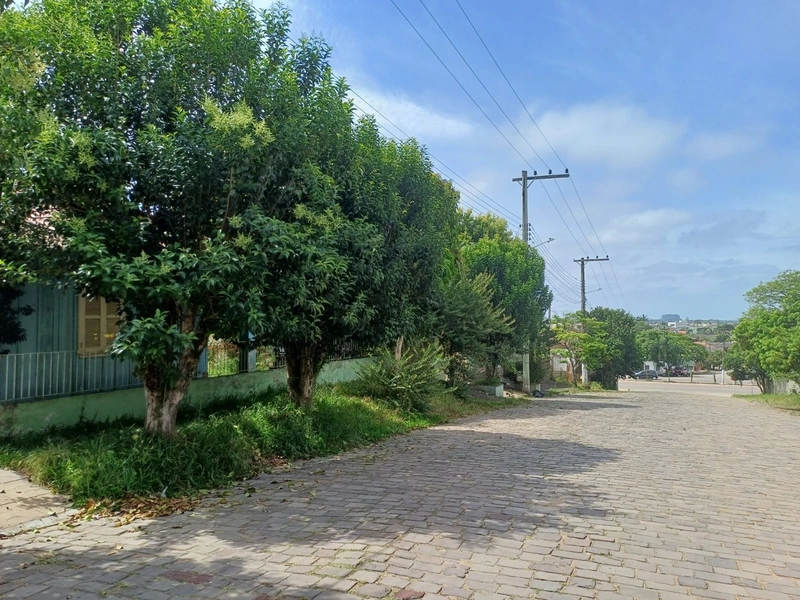 TERRENO BEM LOCALIZADO, RUA CALÇADA...: 1ª foto da galeria de imagens do imóvel