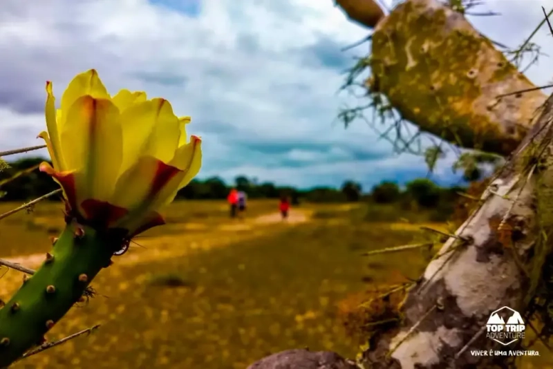 Loteamento Paraiso da Lagoa.: 11ª foto da galeria de imagens do imóvel