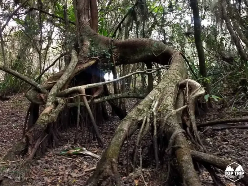 Loteamento Paraiso da Lagoa.: 12ª foto da galeria de imagens do imóvel