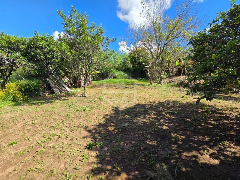 OPORTUNIDADE 2 CASAS NO MESMO LOTE - MORAR OU INVESTIR !: 7ª foto da galeria de imagens do imóvel