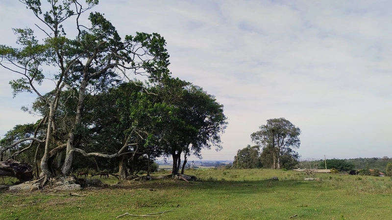 ÁREA PARA LAZER , DENTRO DA CIDADE.: 8ª foto da galeria de imagens do imóvel