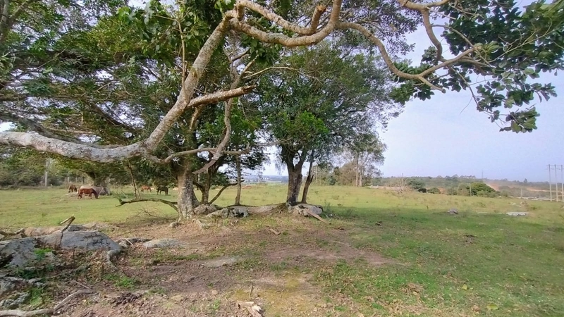 ÁREA PARA LAZER , DENTRO DA CIDADE.: 7ª foto da galeria de imagens do imóvel