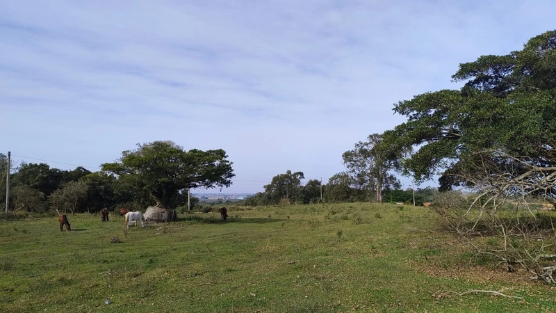 ÁREA PARA LAZER , DENTRO DA CIDADE.: 1ª foto da galeria de imagens do imóvel