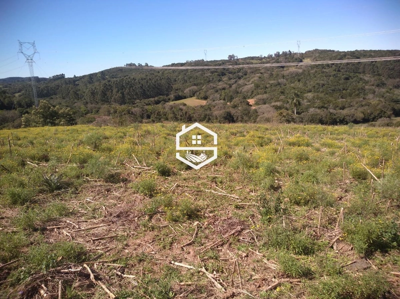 Área Rural para venda em Camaquã: 3ª foto da galeria de imagens do imóvel