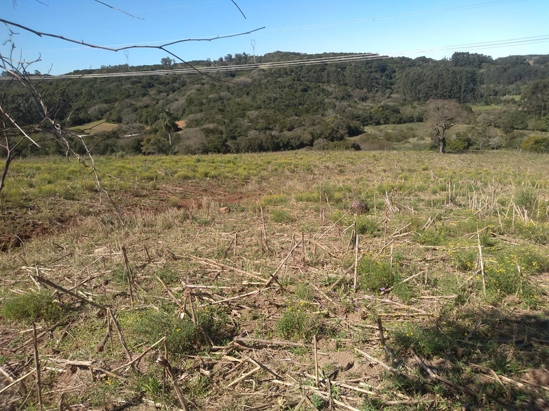 Área Rural para venda em Camaquã: 8ª foto da galeria de imagens do imóvel