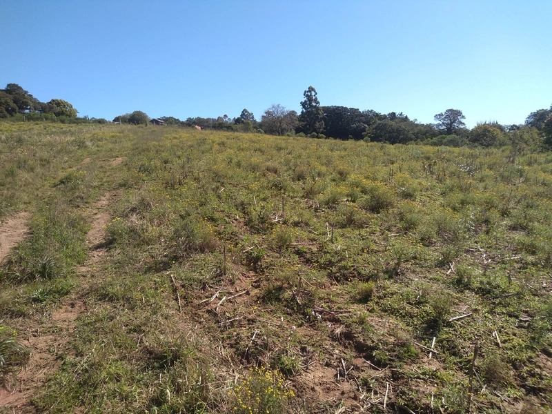 Área Rural para venda em Camaquã: 7ª foto da galeria de imagens do imóvel