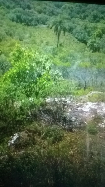 Fazenda em Caçapava 17km do asfalto.: 2ª foto da galeria de imagens do imóvel