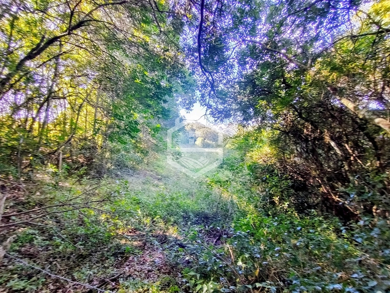 -5,7HA com Aptidão Agrossilvipastoril e Lazer -: 8ª foto da galeria de imagens do imóvel