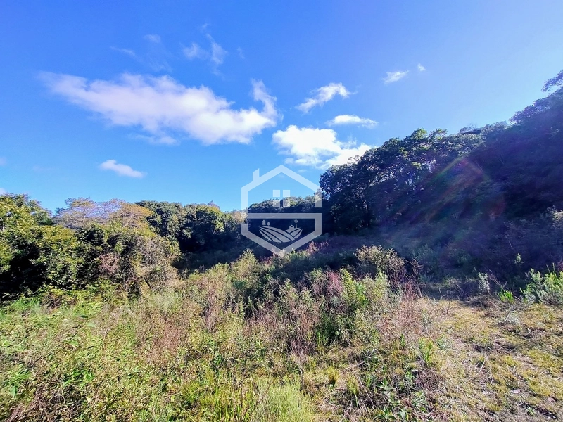 -5,7HA com Aptidão Agrossilvipastoril e Lazer -: 7ª foto da galeria de imagens do imóvel