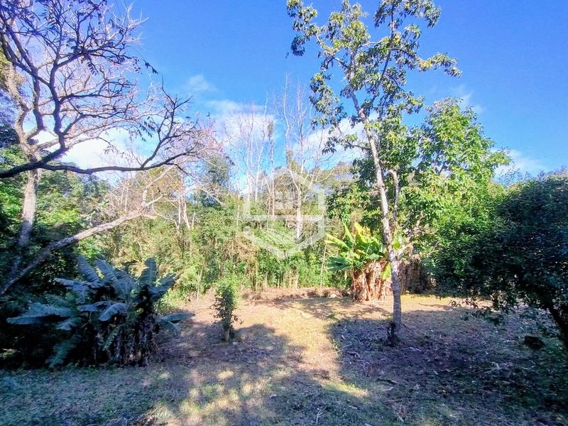 -5,7HA com Aptidão Agrossilvipastoril e Lazer -: 4ª foto da galeria de imagens do imóvel