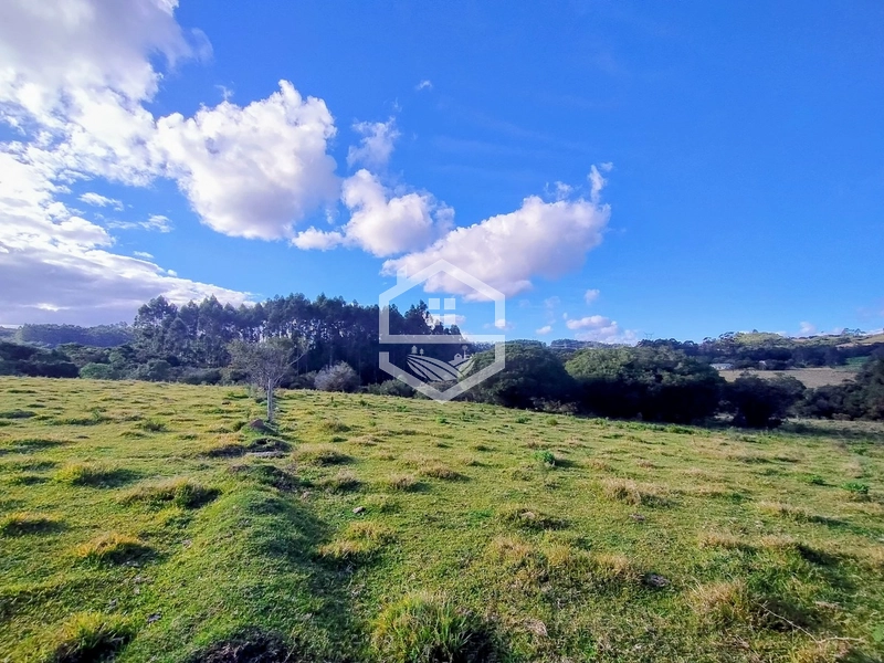 8,5ha interior de Camaquã.: 14ª foto da galeria de imagens do imóvel