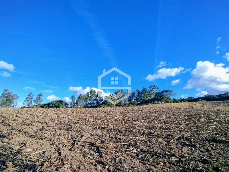 8,5ha interior de Camaquã.: 9ª foto da galeria de imagens do imóvel