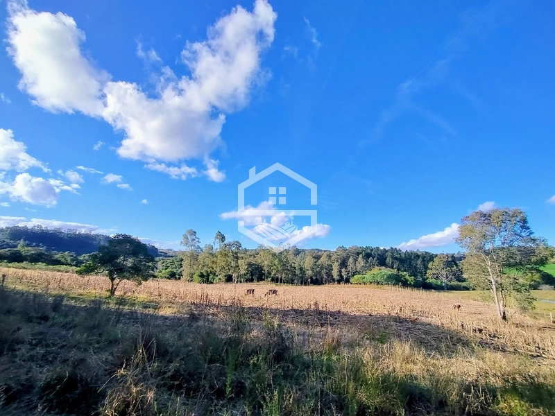 8,5ha interior de Camaquã.: 7ª foto da galeria de imagens do imóvel