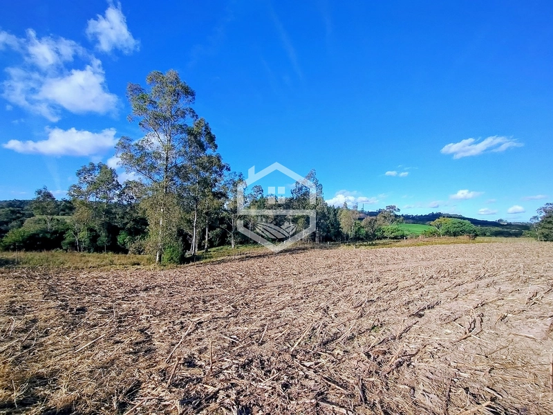 8,5ha interior de Camaquã.: 8ª foto da galeria de imagens do imóvel