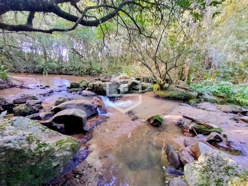 8,5ha interior de Camaquã.: 10ª foto da galeria de imagens do imóvel