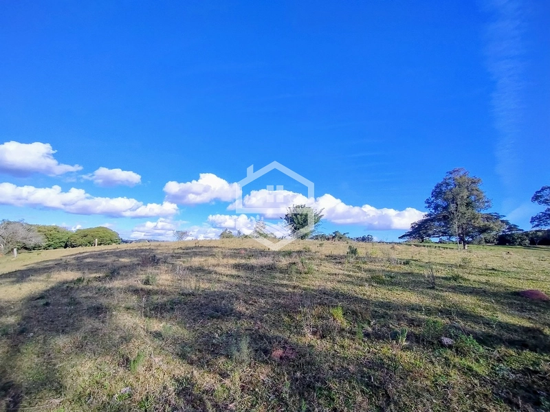 8,5ha interior de Camaquã.: 13ª foto da galeria de imagens do imóvel