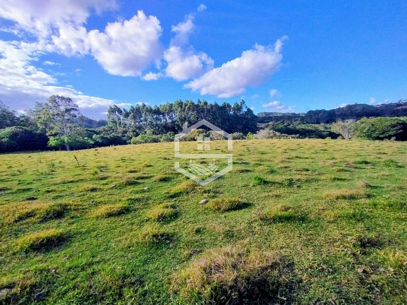 8,5ha interior de Camaquã.: 2ª foto da galeria de imagens do imóvel