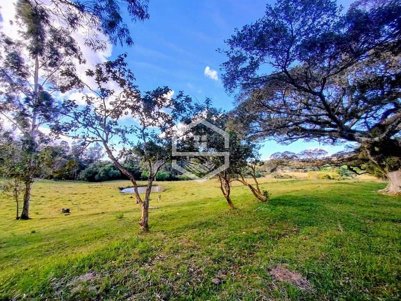 8,5ha interior de Camaquã.: 17ª foto da galeria de imagens do imóvel