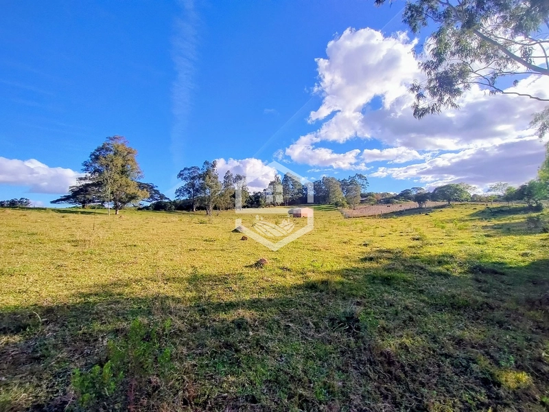 8,5ha interior de Camaquã.: 12ª foto da galeria de imagens do imóvel