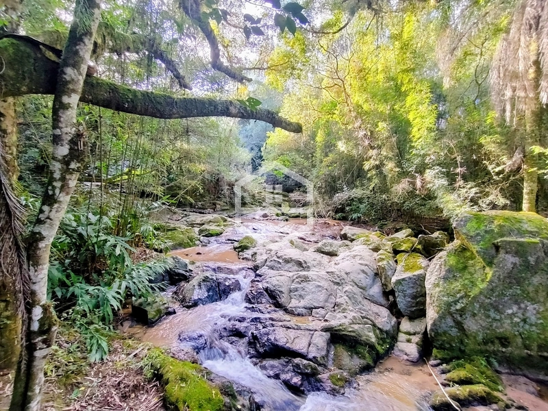 8,5ha interior de Camaquã.: 11ª foto da galeria de imagens do imóvel