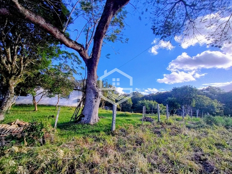 8,5ha interior de Camaquã.: 5ª foto da galeria de imagens do imóvel