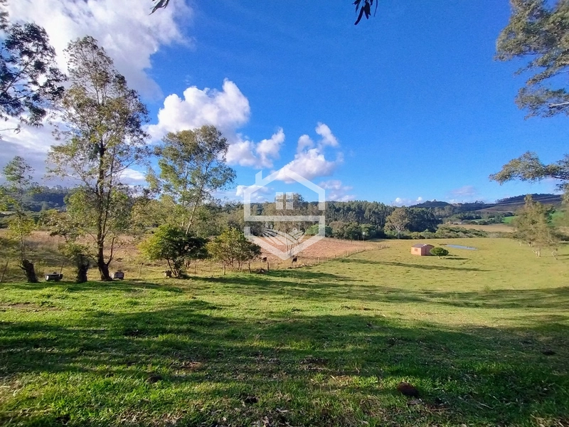 8,5ha interior de Camaquã.: 18ª foto da galeria de imagens do imóvel