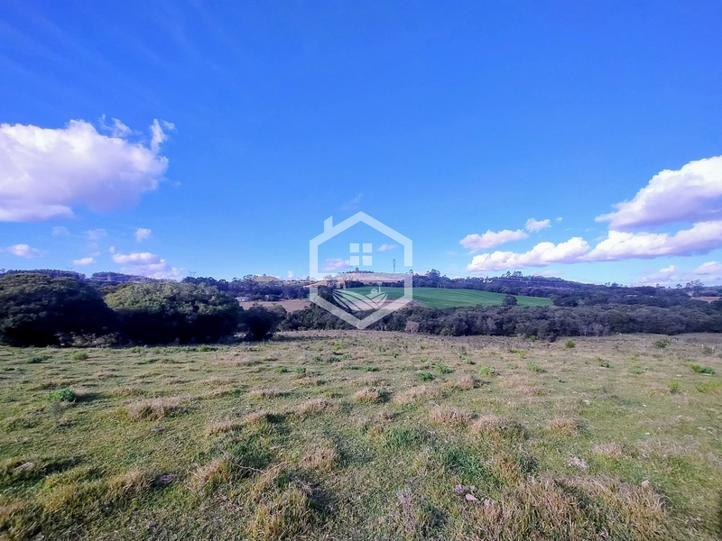 8,5ha interior de Camaquã.: 15ª foto da galeria de imagens do imóvel