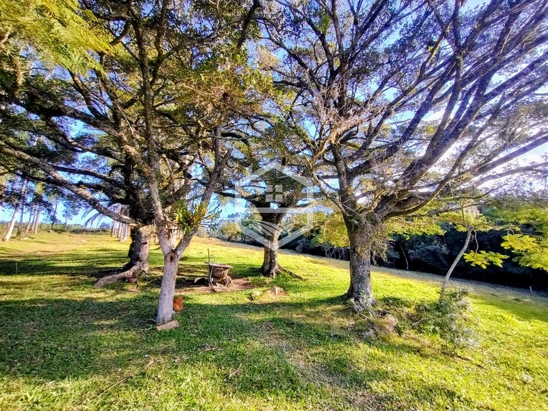 8,5ha interior de Camaquã.: 4ª foto da galeria de imagens do imóvel