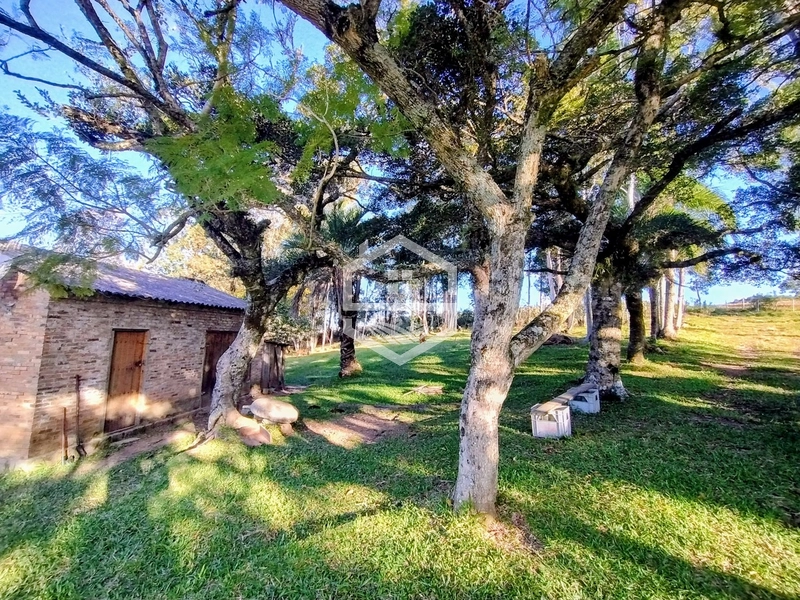 8,5ha interior de Camaquã.: 20ª foto da galeria de imagens do imóvel