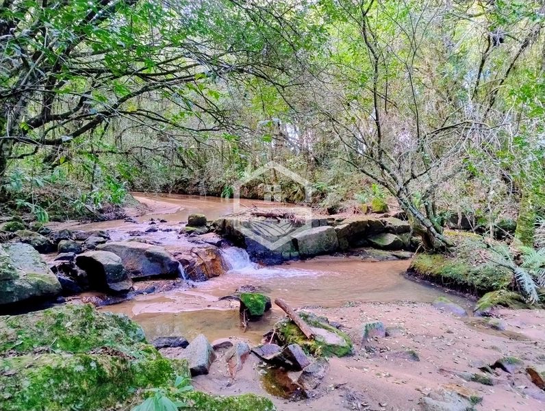 8,5ha interior de Camaquã.: 3ª foto da galeria de imagens do imóvel