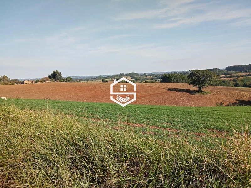 Área Rural para venda em Camaquã: 3ª foto da galeria de imagens do imóvel