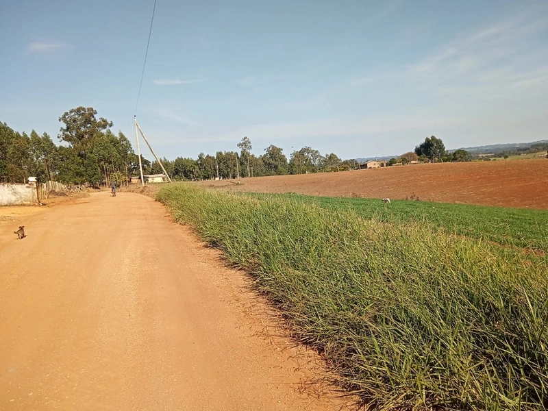 Área Rural para venda em Camaquã: 4ª foto da galeria de imagens do imóvel