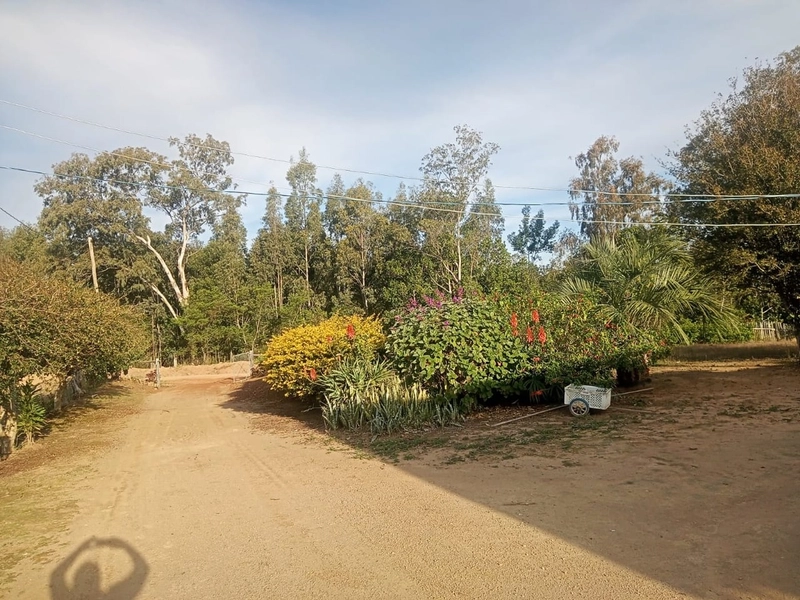 Área Rural para venda em Camaquã: 5ª foto da galeria de imagens do imóvel