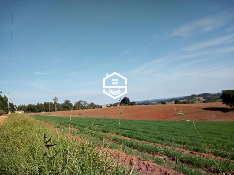 Área Rural para venda em Camaquã: 1ª foto da galeria de imagens do imóvel