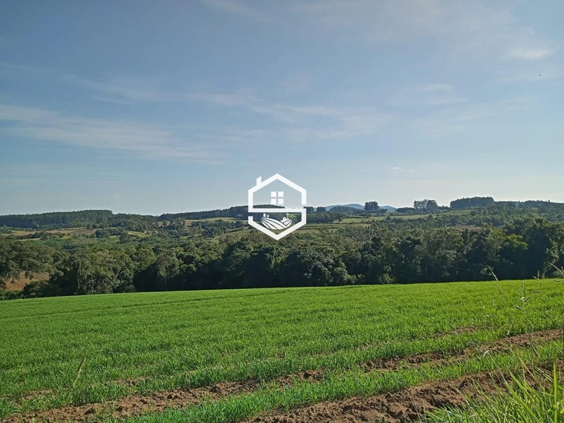 Área Rural para venda em Camaquã: 2ª foto da galeria de imagens do imóvel