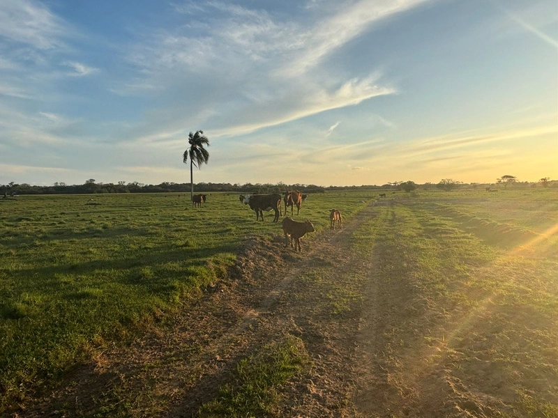 Fazenda interior de Cristal-RS: 5ª foto da galeria de imagens do imóvel