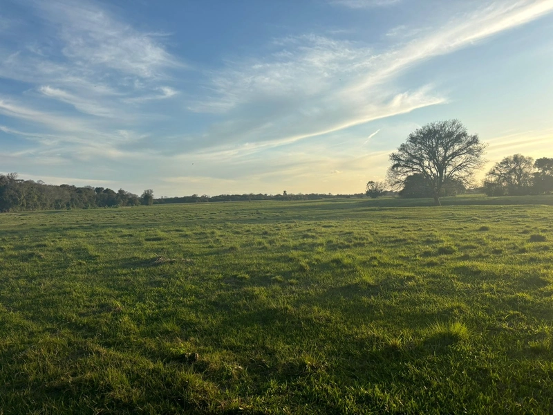 Fazenda interior de Cristal-RS: 6ª foto da galeria de imagens do imóvel