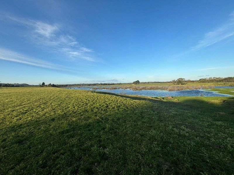 Fazenda interior de Cristal-RS: 19ª foto da galeria de imagens do imóvel