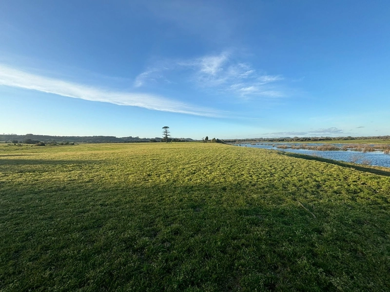 Fazenda interior de Cristal-RS: 10ª foto da galeria de imagens do imóvel