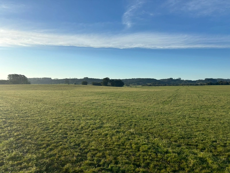 Fazenda interior de Cristal-RS: 14ª foto da galeria de imagens do imóvel