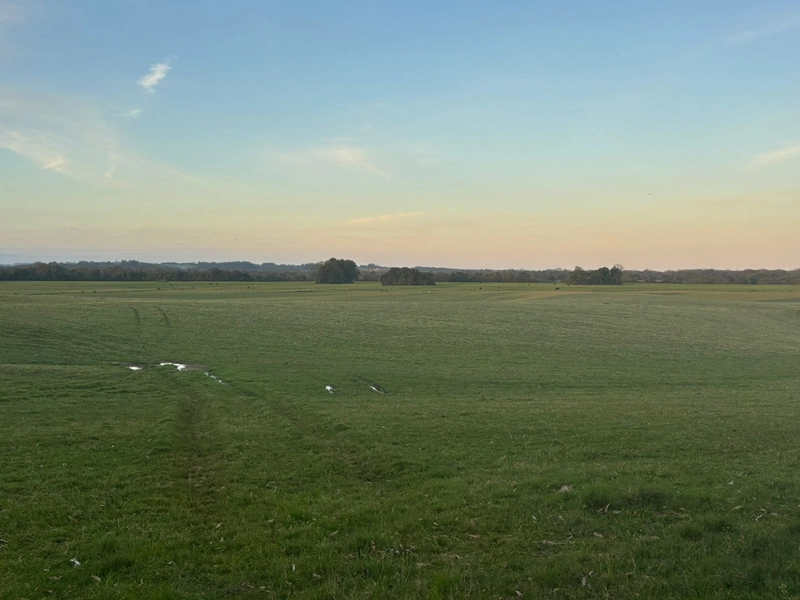 Fazenda interior de Cristal-RS: 2ª foto da galeria de imagens do imóvel