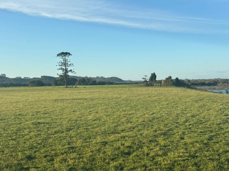 Fazenda interior de Cristal-RS: 9ª foto da galeria de imagens do imóvel