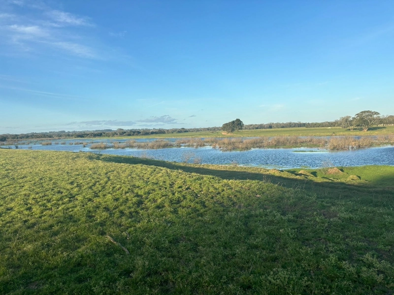 Fazenda interior de Cristal-RS: 11ª foto da galeria de imagens do imóvel
